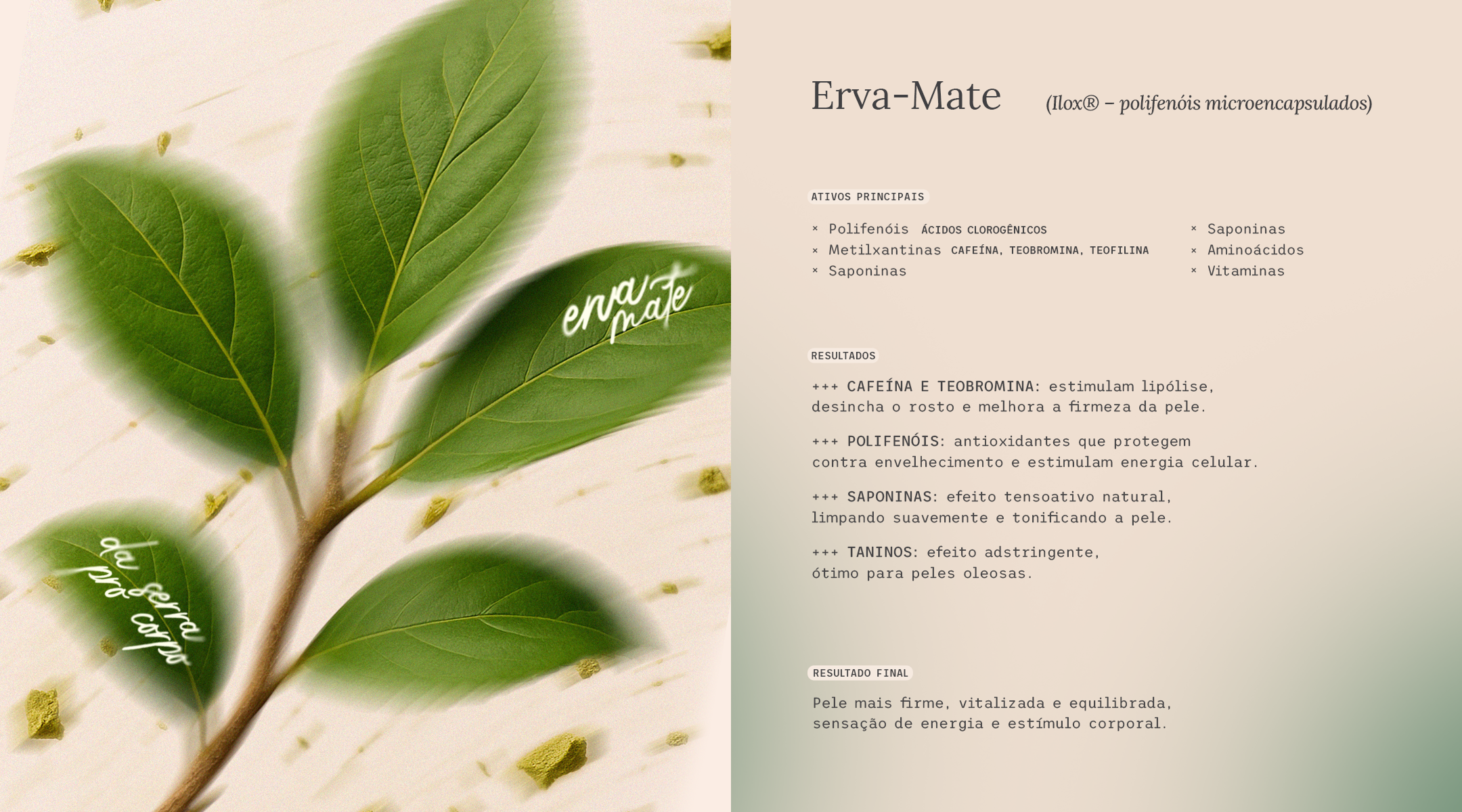 Imagem com folhas verdes de erva-mate frescas, símbolo dos rituais da Maitá. O ativo Ilox®, derivado da erva-mate, é rico em polifenóis e metilxantinas como cafeína, teobromina e teofilina, que estimulam a energia celular, melhoram a firmeza da pele e ativam a circulação. Também contém saponinas e taninos com efeito tonificante e adstringente, ideais para peles mistas ou oleosas. Essa linha representa vitalidade, energia e equilíbrio, traduzindo em cosméticos de alta performance.