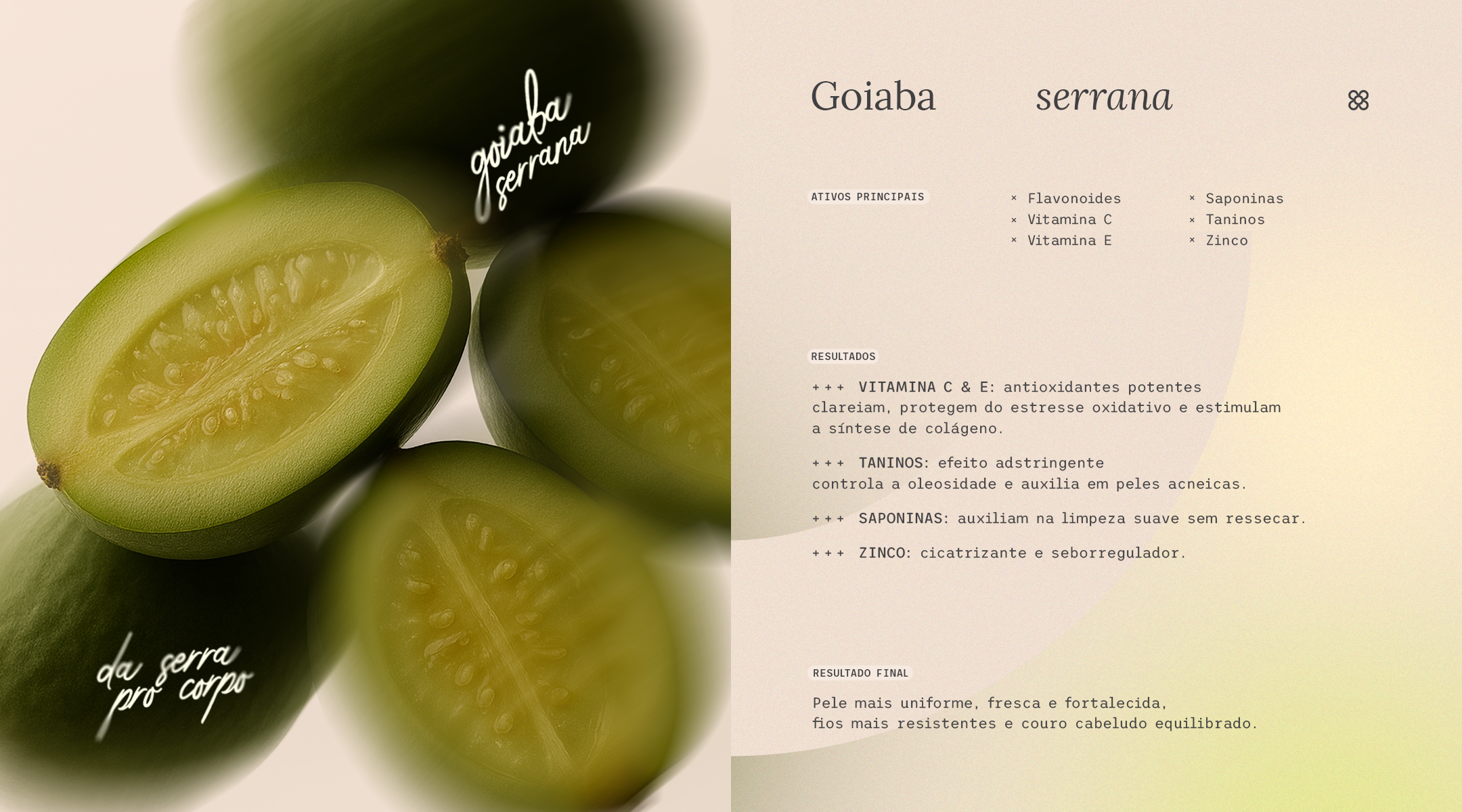 Imagem com goiabas serranas verdes cortadas ao meio, representando o ativo símbolo da Serra Catarinense usado pela Maitá. A goiaba serrana é rica em flavonoides, vitaminas C e E, saponinas, taninos e zinco — um complexo natural que promove uniformidade, firmeza e frescor à pele e resistência aos fios. Os produtos dessa linha equilibram oleosidade, estimulam a síntese de colágeno e protegem contra o estresse oxidativo. Cosméticos naturais e veganos com fragrância fresca inspirada nos campos da Serra