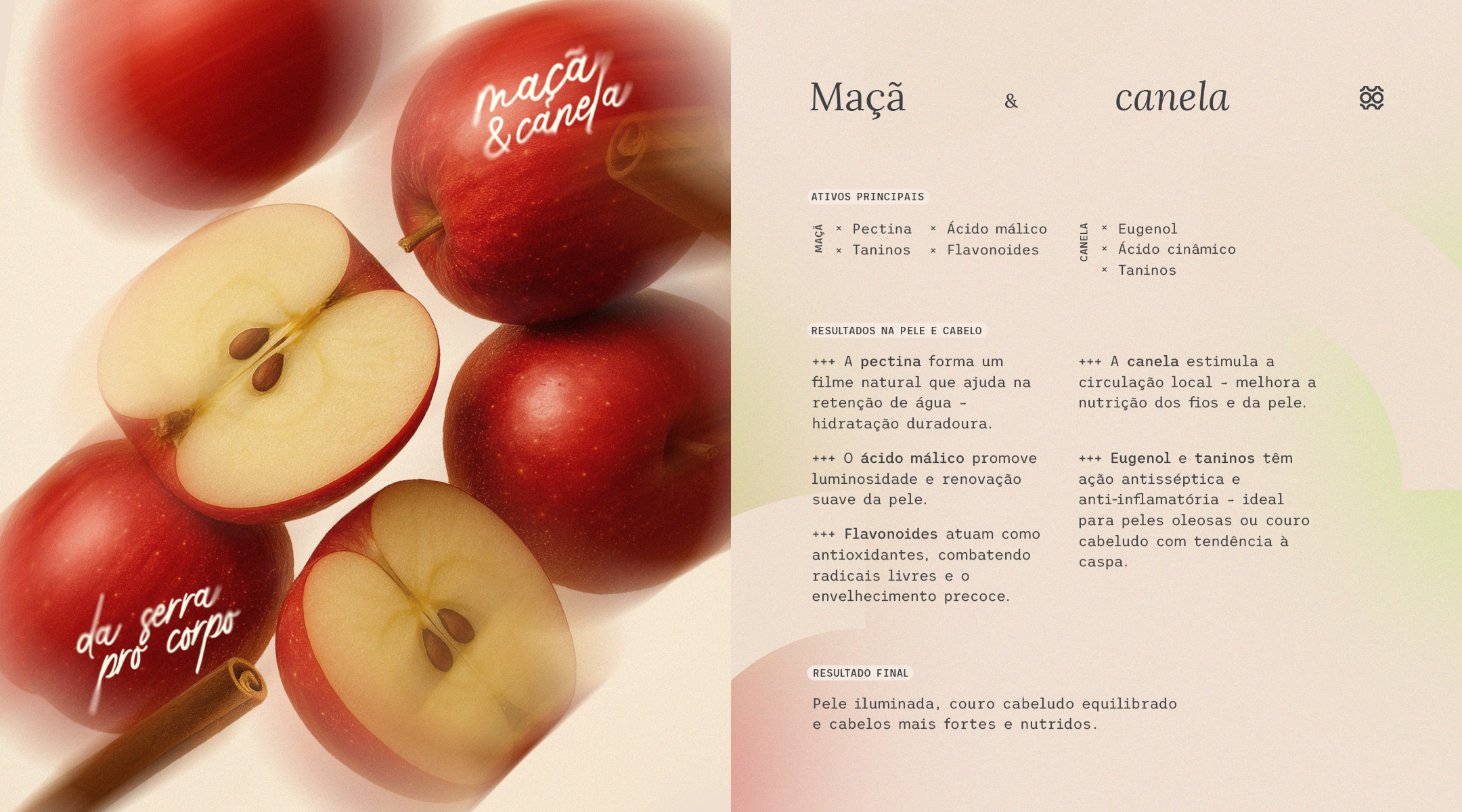Imagem com maçãs frescas e pau de canela, representando os ativos da linha Maçã & Canela Maitá. Essa combinação natural une o poder antioxidante da maçã rica em pectina, ácido málico e flavonoides à ação estimulante e purificante da canela, que melhora a circulação e fortalece o couro cabeludo. Os cosméticos dessa linha promovem brilho, maciez e hidratação prolongada nos fios, equilibrando o couro cabeludo e deixando o cabelo mais forte e nutrido. Produzidos com ingredientes da Serra Catarinense vegano